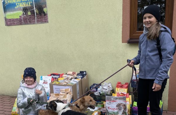 III edycja akcji „Paka dla psiaka i kociaka” już za nami, więc czas na podsumowanie!